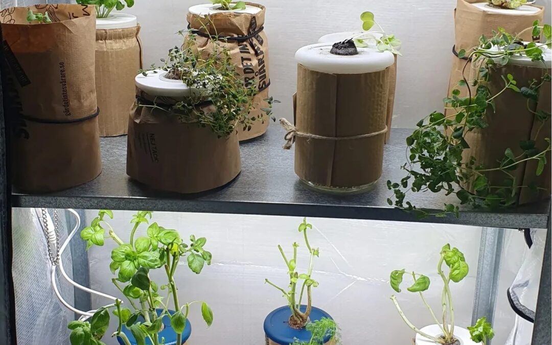 Forskning om näring1